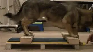 six inch step downs