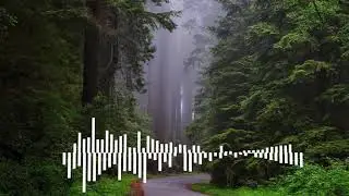 Meditation PH Soothing Relaxing Music Video