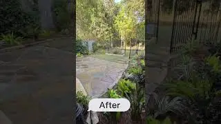 Backyard Landscape Transformation