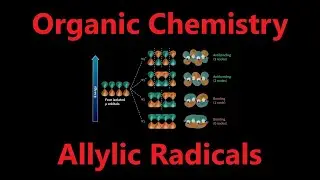 Organic Chemistry - Radical Allylic Systems