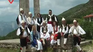 RRENJET E NJE FISI BARDHA