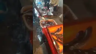 Again jagtial fish market