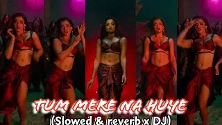 Tum Mere Na Huye (Slowed + Reverb x D.J) | Madhubanti Bagchi | Thamma | Sachin-jigar #trending #lofi