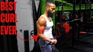 Bayesian Curl Masterclass: Tips, Tricks, and Setup for Maximum Bicep Gains 💪