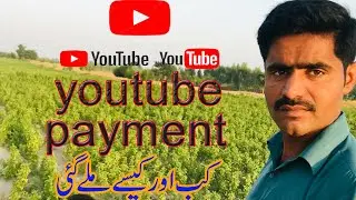 Problem Solving Automatic Payment Pending Wire Transfer To Bank Account