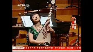虚籁   刘天华作曲   杨靖琵琶独奏