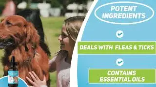 Spot On Flea Treatment For Dogs