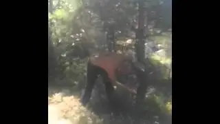 Odelsguten