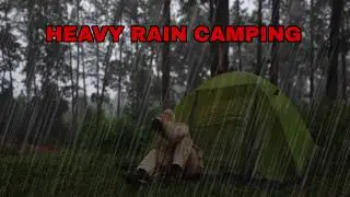 🌲 Solo Camping in Heavy Rain | Alone in the Misty Forest 🌧️( Compilation) - ASMR