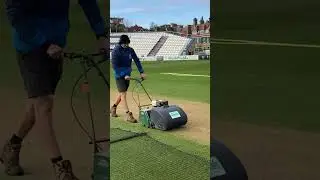 Cutting of a Cricket Pitch using a llyolds Paladin set at 7 mm #groundsman #cricket #mowing #turf
