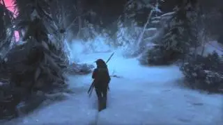 Rise of the Tomb Raider — Сибирская глушь — 100% коллекционные предметы