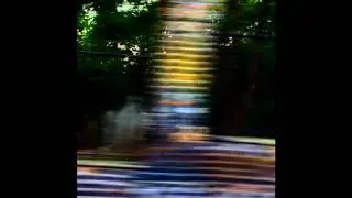 SPC ECO - Out Of My System (2015)