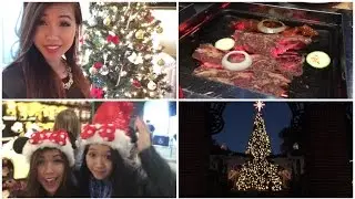 Black Friday Shopping, Korean BBQ, Downtown Disney | Vlog #3