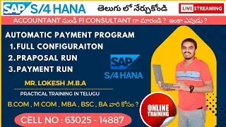 Comprehensive Guide to Automatic Payment Program Configuration in SAP FICO S/4HANA