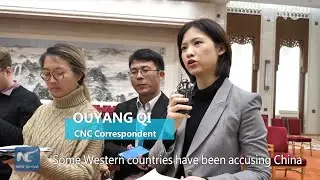 Only recipient countries can judge China's assistance: Chinese official