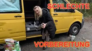 SCHOCKMoment! Vogel im AUTO. Vanlife im VW T5.