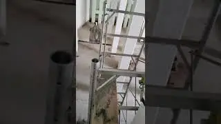 Life as an industrial painter