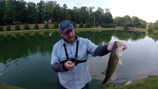 Googan Baits Slim Shake Worm Review