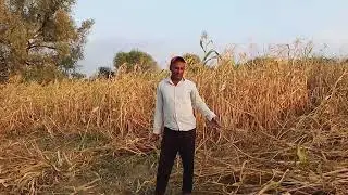 #mission2030