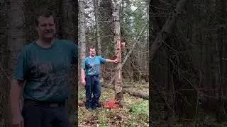 Humboldt face cut, the one reason I HATE it!