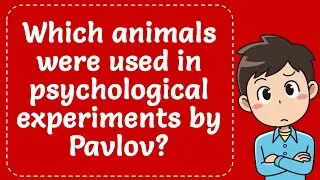 Which Animals Were Used In Psychological Experiments By Pavlov? Explained