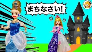 小さくなったプリンセスを戻せ【前編】 シンデレラのお城に潜入★ ガラスの靴を探せ!!