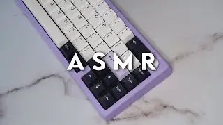 [ASMR] Zoom65 EE 12 Minute Typing Sounds (no mid-roll ads)