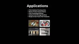 Blast Freezer Room for Fish Industry | BITZER Unit | Archo Industries | Cold Storage Manufacturer