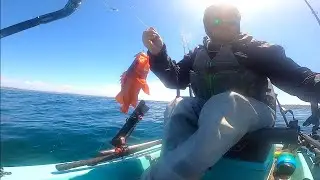 Vermillion Red Rockfish Catch Clean Cook | Solo Skiff Fishing San Diego