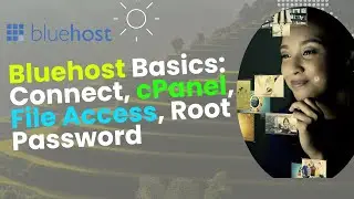 Bluehost Basics: Connect, cPanel, File Access, Root Password