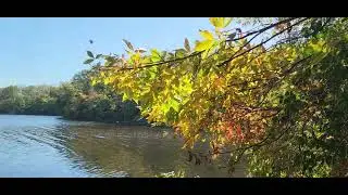 0000000 BURKE LAKE