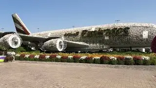 Emirates Plane all sided view at Miracle Garden, Dubai 
