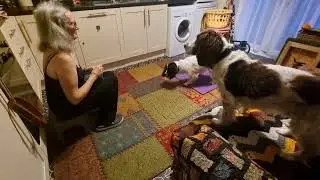 Katy 11 November 2025 - scratchboard, behavior change, targets, wobble board, weather games