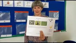 Primary assembly