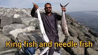 Catching Kingfish and needle fish👌😱  |back to UAE fishing|  fujairah