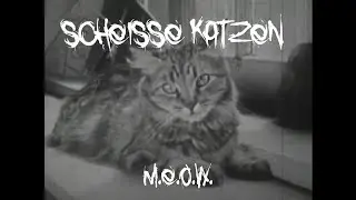 das Scheisse Katzen  - M.E.O.W. muzikvideofilm (Oktober 18, 2025)