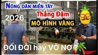 🦆🔴Live : NUÔI CON GÌ Ở NÔNG THÔN CÓ LÃI ? Cùng bạn phân tích nha