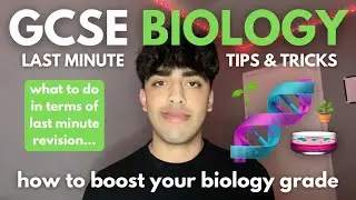 last minute GCSE biology tips + tricks (feat. exam question walkthroughs)