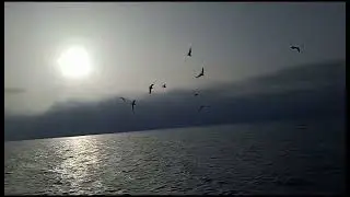 إستمتعو بصوت البحر يهديء الأعصاب