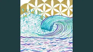 Free Your Soul