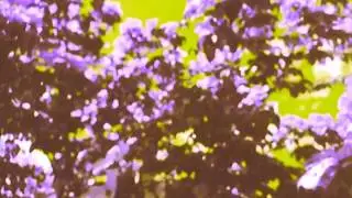The 0&rsquo;s & 1&rsquo;s - Wasted Days