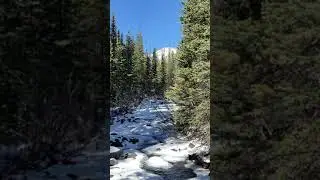 Frozen stream and mountain view in COLORADO #colorado #snow
