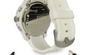 Celectronics Computer Solutions iFit Classic Water Resistant Luxury Watch