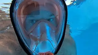 Fantastic Greatever G2 Full Face Snorkel Mask- link in description