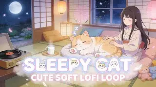 Sleepy Cat 🐱 | 2 Hours Cute & Cozy Lofi for Relax, Study & Sleep