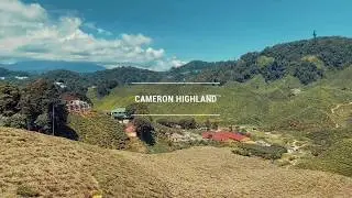 ADStudio . Entertainment: Cameron Highland Intro