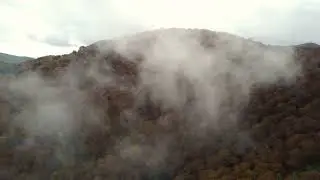 El bosque de Cobre de Pujerra a vista de dron