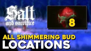 Salt And Sacrifice All Shimmering Bud Locations (All Flask Upgrades)
