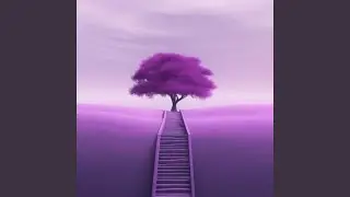 Stillness Guides the Way
