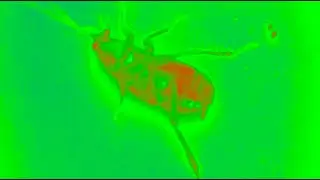 Human Noise - Backwater (Official Video)